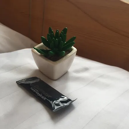 Levendula Apartmanhaz *
